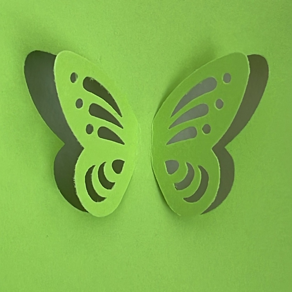 BUTTERFLY 🦋 PUNCHER - Picture 8 of 10